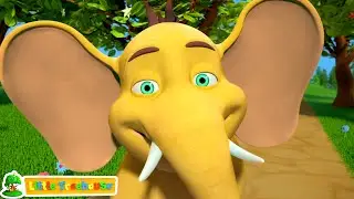 Happy Elephant - Looking for A Friend Nursery Rhyme And Baby Song