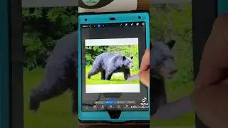 Use procreate to make a silhouette of any picture that you have for your SVG and PNG projects