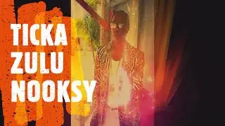 TICKA ZULU-  NOOKSY ( OFFICIAL AUDIO)