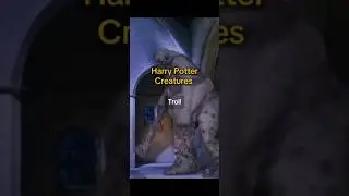 Harry Potter Creatures_ Troll ✨️  #fantasticbeasts #harrypotter #gryffindor #slytherin
