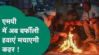 MP Weather News: MP के लिए मौसम विभाग ने जारी किया Cold Wave का Alert, पारा पहुंचा 3 डिग्री !