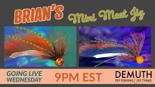 How To Fly Tying:  Mini Meat Streamer--Live on Whip Finish Wednesday
