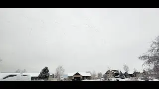 Widespread snow, travel impacts expected for Black Friday, Winter Storm Warnings