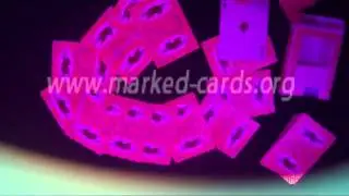 Bee(With Picture)2-MARKED-PLAYING-CARDS