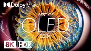 NATURE IN THE EYES OF 8K Dolby Vision&reg; HDR (BEST OF OLED)