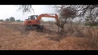 Tata hitachi 120 trees 🌳 cutting