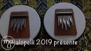 r&eacute;paration Sansula par www.atelier-malopelli.com