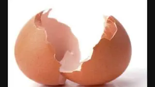 HUEVOS Y OVOPRODUCTOS- Introducci&oacute;n, formaci&oacute;n y partes del huevo