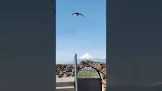 хор вирап