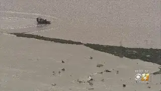 Investigation Under Way After Plane Crashes In Trinity Bay With 3 People Aboard