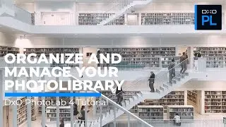 How to Organize and Manage Your PhotoLibrary in DxO PhotoLab 4