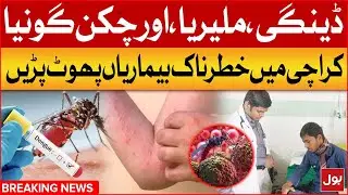 Dangerous Diseases Broke Out In Karachi | Dengue And Malaria Cases In Karachi | Breaking News