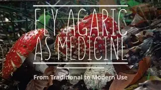 Fly Agaric as Medicine: From Traditional to Modern Use (with Kevin Feeny, PhD)