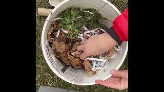 What You Can and Can't Compost