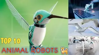 ANIMAL ROBOTS🤓😳🐕|top 10|Tamil thedal|Suryaprakash