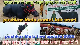 Pushkar Fair live updates || Lakhs of traders came to Pushkar Fair