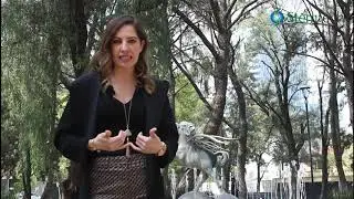Stemrelease3 | Funciones
