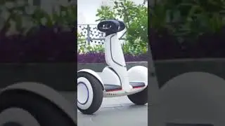HUSE Segway Ninebot S