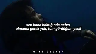 billie eilish - bittersuite, türkçe çeviri