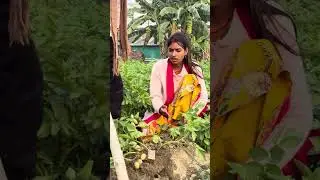 Baba ka sach | Vijay Kumar Viner