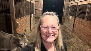 Time to feed the horses. Friday night and my mic didn’t work again. Oops!😬 