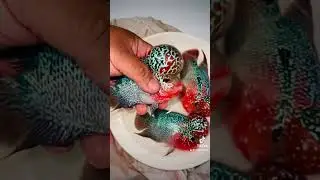 Ae quan t&acirc;m mật thư nhe z.a.l.o 093.777.101