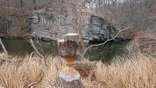 #12 - Thayatalweg 630 Hardegg (N&Ouml;) - Umlaufberg - Ruine Kaja - Hofern - Retz (N&Ouml;)