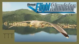 Наблюдение за птицами! Microsoft Flight Simulator!