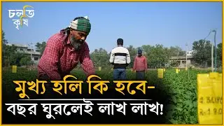 ম'র'লেও নাকি ডিউটি করতে হবে? | চলতি কৃষি