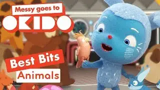 *ANIMALS BEST BITS* | Compilation | Messy Goes To Okido | Cartoons For Kids