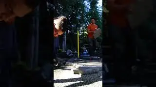 Backyard Transformation: Watch Paver Walkway Project Come Alive! #shorts