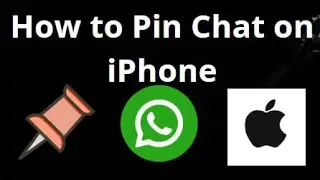 Как закрепить чат в WhatsApp на iPhone. Полное руководство