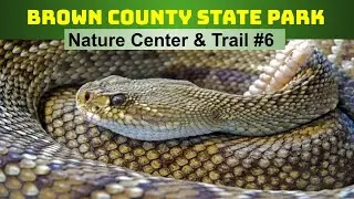 Brown County State Park: Nature Center & Hiking Trail #6 - Indiana