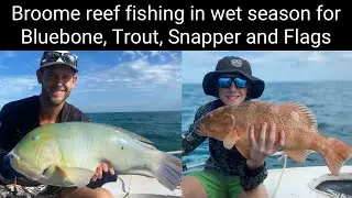 Broome reef fishing in wet season for Bluebone, Trout, Snapper and Flags.