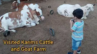 I have visited Karims cattle & goat (AR MAANI , SAM ENTERTAINMENT by SAMEED) I Season 2023
