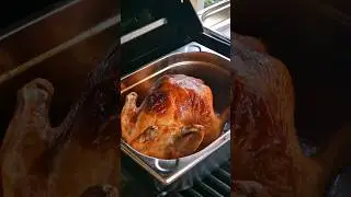 Roasted chicken with root vegetable sauce and dumplings.