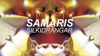 Samaris - Lífsins Ólgusjór