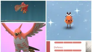 Fletchling Community Day!