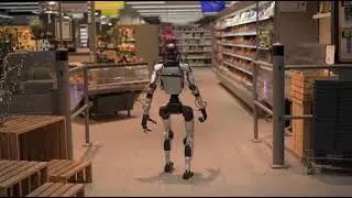 Humanoids in Store Replenishment And In Healthcare