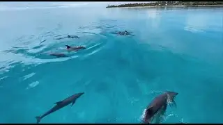 Transparent Sea (Transparency)