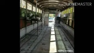 School Bus converted into a Beautiful RV by a American Couple