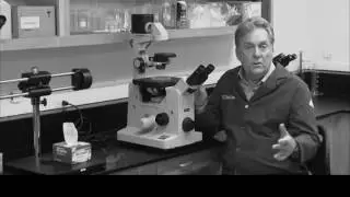 NeoGenesis - Next Generation of Stem Cell Science