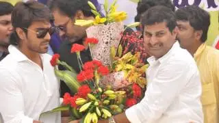 Actor Ram Charan Teja grand birthday celebrations