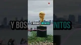 🤩 &iexcl;ESTADOS UNIDOS Y SU RUTA POR EL T&Iacute;TULO EN CASA! | Telemundo Deportes