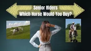 Senior Riders - Which Horse Would You Buy?
