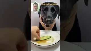 Dog Eat by Food / Funny Dog Dance #dog #food #Bathel Laskar #dipu pagol