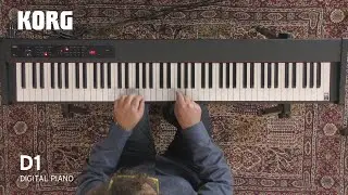 KORG D1 Digital Piano Sound Show - Prima Parte