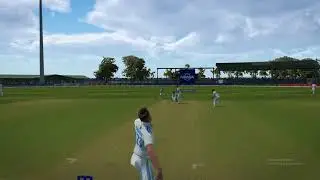 Cricket 24 What a Delivery Googly