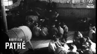 War Orphans Find Refuge (1951)