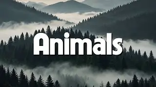 Animals - Maroon 5 (Lyrics)